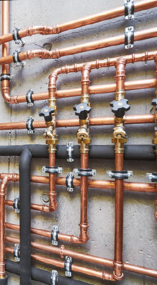 De Azévédo - activités