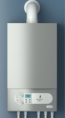 De Azévédo - activités