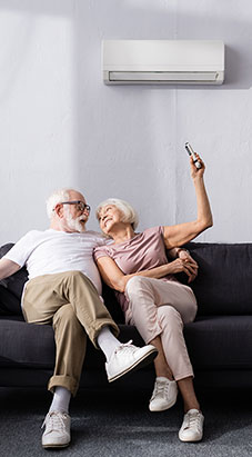 De Azévédo - activités